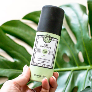 Shampoing sec Maria Nila 