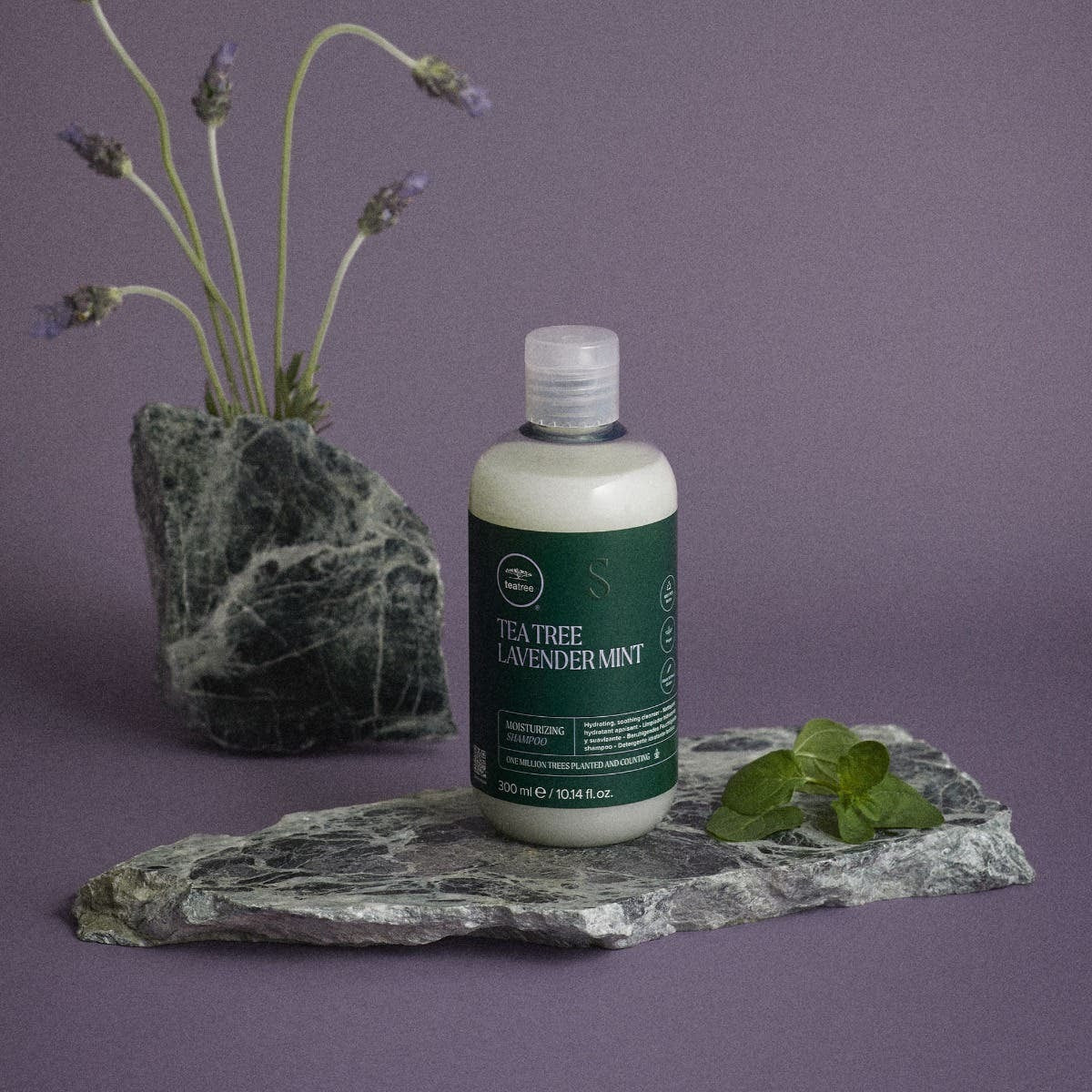 Paul Mitchell Set 2x Tea Tree Lavender Mint Moisturizing Shampoo 1000ml - HauptSacheShop