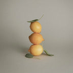 Paul Mitchell Tea Tree Lemon Sage Thickening Shampoo Zitronen