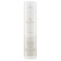 Paul Mitchell Awapuhi Wild Ginger Anti - Frizz Hairspray 307 ml - HauptSacheShop